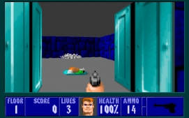 Скриншот игры Wolfenstein 3D