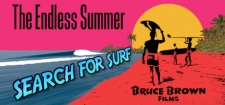 Обложка игры The Endless Summer - Search For Surf