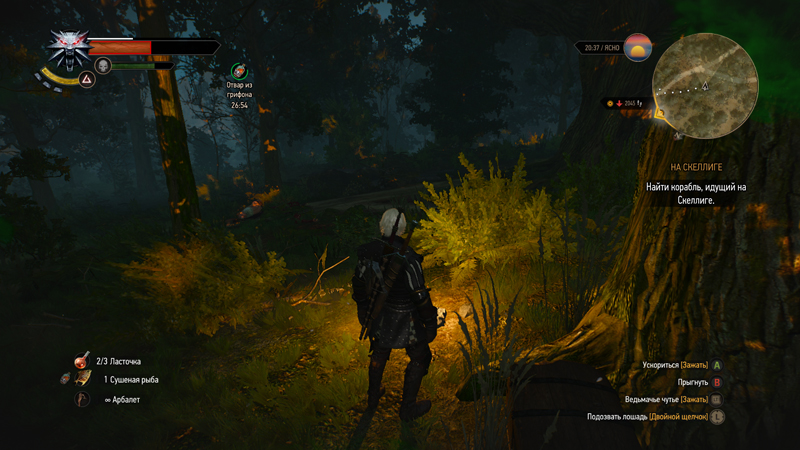 Скриншот из игры «Ведьмак 3: Дикая Охота»