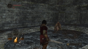 Скриншот игры Dark Souls II