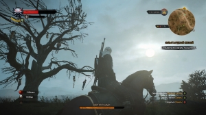 Скриншот игры Witcher 3: Wild Hunt, The