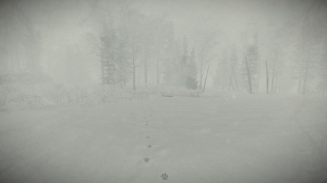 Скриншот игры Kona