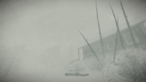 Скриншот игры Kona