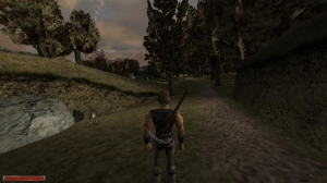 Скриншот игры Gothic