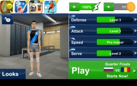 Скриншот игры Volleyball Champions 3D